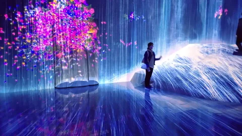 Digital Arts being exhibited at TeamLab Borderless Tokyo Stock Footage 185097311