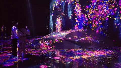 Digital Arts being exhibited at TeamLab Borderless Tokyo Stock Footage 185097339