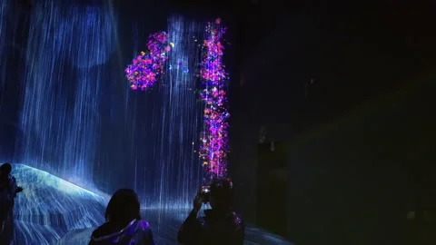 Digital Arts being exhibited at TeamLab Borderless Tokyo Stock Footage 185097365