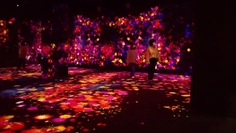 Digital Arts being exhibited at TeamLab Borderless Tokyo Stock Footage 185097536