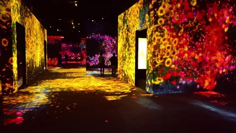 Digital Arts being exhibited at TeamLab Borderless Tokyo Stock Footage 185097548