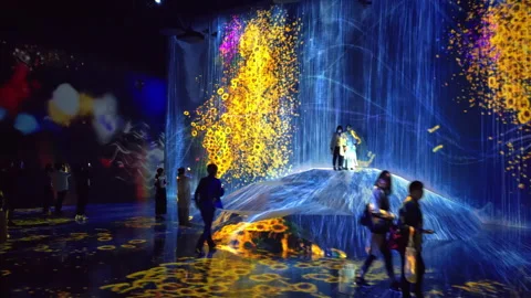 Digital Arts being exhibited at TeamLab Borderless Tokyo Stock Footage 185098204