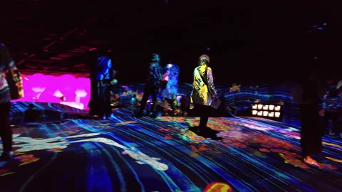 Digital Arts being exhibited at TeamLab Borderless Tokyo Stock Footage 185098546