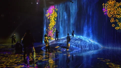 Digital Arts being exhibited at TeamLab Borderless Tokyo Stock-Footage 185098947