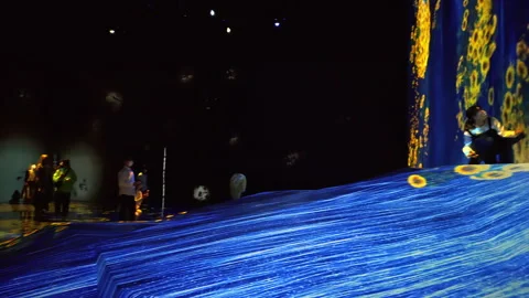 Digital Arts being exhibited at TeamLab Borderless Tokyo Stock Footage 185098960