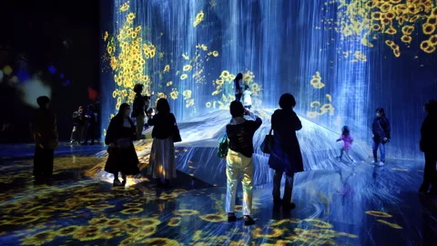 Digital Arts being exhibited at TeamLab Borderless Tokyo Stock Footage 185099578