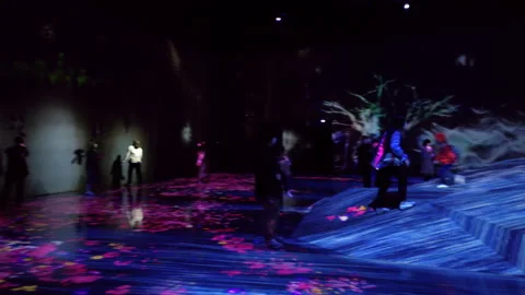 Digital Arts being exhibited at TeamLab Borderless Tokyo Stock-Footage 185099941