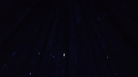Digital Arts being exhibited at TeamLab Borderless Tokyo Stock-Footage 185100123