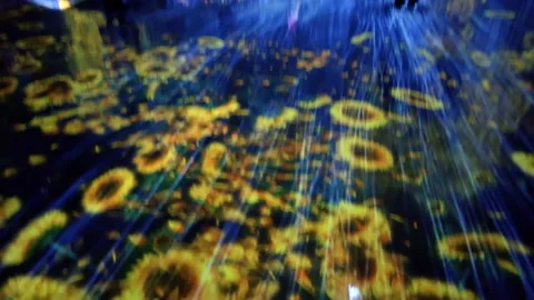 Digital Arts being exhibited at TeamLab Borderless Tokyo Stock-Footage 185100406