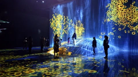 Digital Arts being exhibited at TeamLab Borderless Tokyo Stock-Footage 185100473
