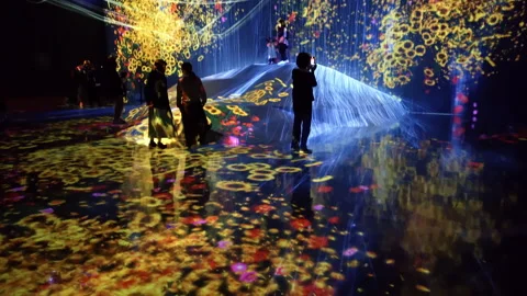 Digital Arts being exhibited at TeamLab Borderless Tokyo Stock-Footage 185100724