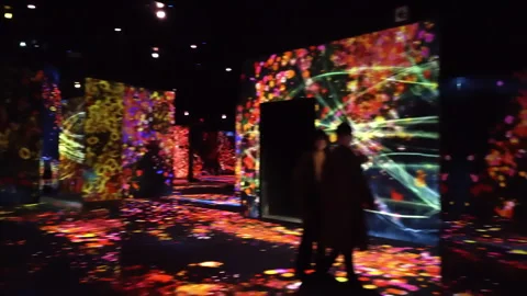 Digital Arts being exhibited at TeamLab Borderless Tokyo 스톡 동영상 185101151