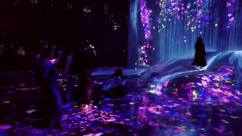 Digital Arts being exhibited at TeamLab Borderless Tokyo Stock-Footage 185101577