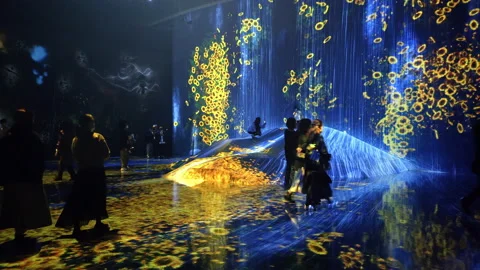 Digital Arts being exhibited at TeamLab Borderless Tokyo Stock-Footage 185101649