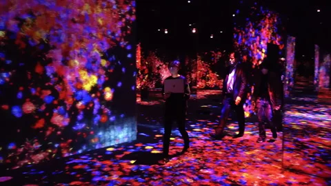 Digital Arts being exhibited at TeamLab Borderless Tokyo Stock-Footage 185101840