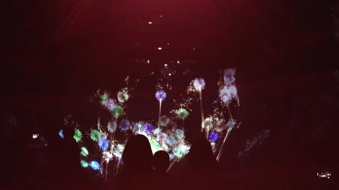 Digital Arts being exhibited at TeamLab Borderless Tokyo Stock-Footage 185101938