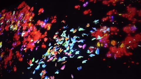 Digital Arts being exhibited at TeamLab Borderless Tokyo Stock-Footage 185101958