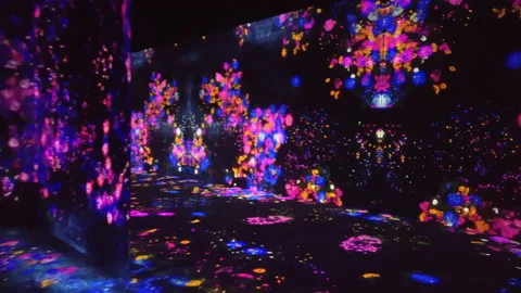 Digital Arts being exhibited at TeamLab Borderless Tokyo Stock-Footage 185102039
