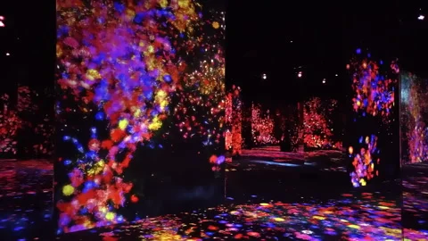 Digital Arts being exhibited at TeamLab Borderless Tokyo Stock-Footage 185102050