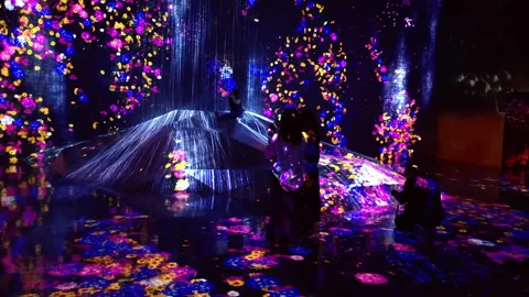 Digital Arts being exhibited at TeamLab Borderless Tokyo Stock-Footage 185102210