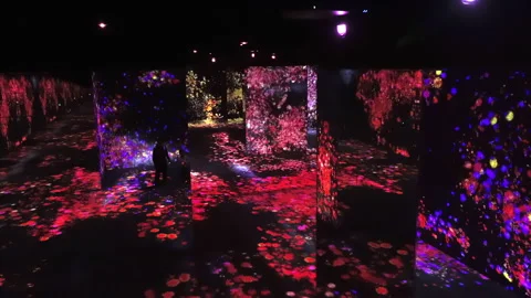 Digital Arts being exhibited at TeamLab Borderless Tokyo Stock-Footage 185639574