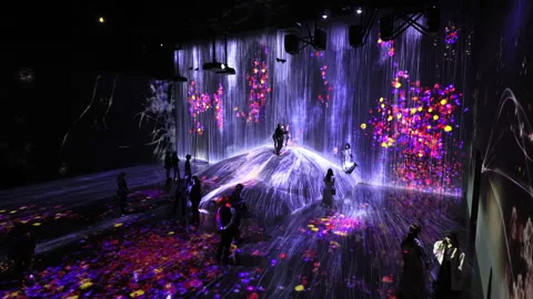 Digital Arts being exhibited at TeamLab Borderless Tokyo 스톡 동영상 185643705
