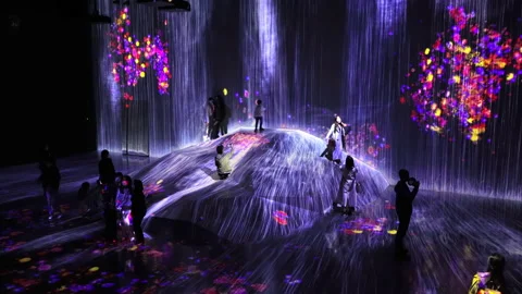 Digital Arts being exhibited at TeamLab Borderless Tokyo Stock-Footage 185643840