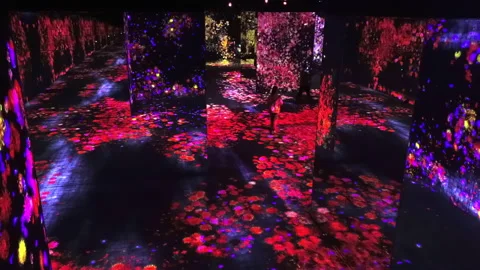 Digital Arts being exhibited at TeamLab Borderless Tokyo Stock-Footage 185643860