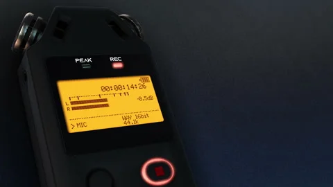Digital audio recorder in recording function - Sx 動画素材 138883940