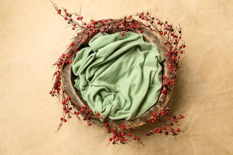 Digital backdrop or background for newborn baby photography, newborn photo setup Foto stock