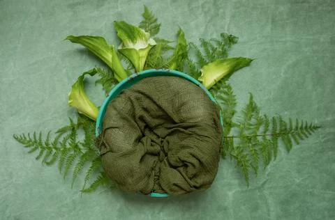 Digital backdrop or background for newborn baby photography, newborn photo setup Stock Photos