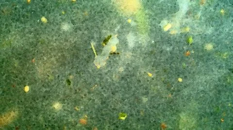 Digital background based macro images of organic objects. Stock Illustration