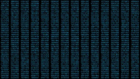 Digital Background. Hacker. Code Stock Footage 114717291