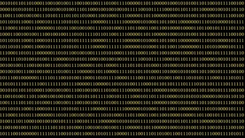 Digital binary code background with abstract patterns and lines Stock Footage 311569520