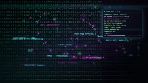 Digital binary code stream with scrolling computer programming scripts and data Stock-Footage 346215166