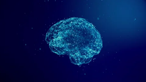 Digital Brain 01 Stock Footage 305631126