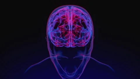 Digital brain 12 動画素材 263330915