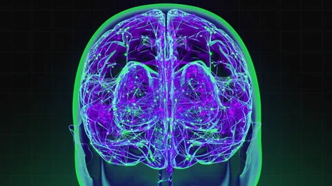 Digital brain 13 動画素材 263331119