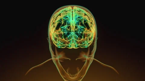 Digital brain 14 動画素材 263331136