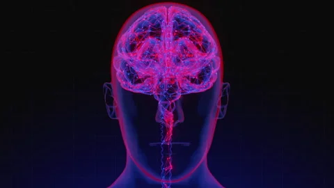 Digital brain 16 動画素材 263332313