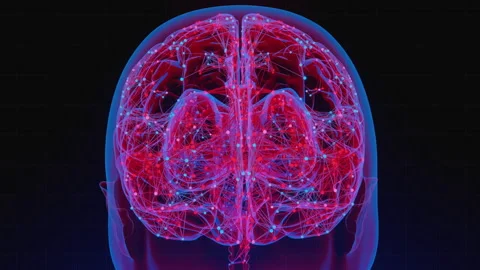 Digital brain 17 動画素材 263332307