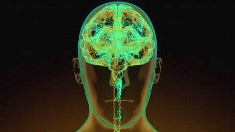 Digital brain 18 動画素材 263332322