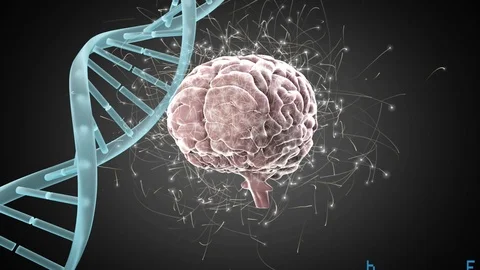 Digital brain and DNA helix Stock Footage 107646348