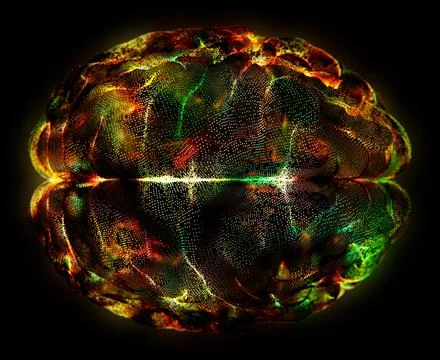 Digital brain. Artificial Intelligence Deep Learning Process Illustrazione stock