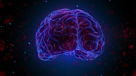 Digital Brain Bid Data Stock Footage 163925328