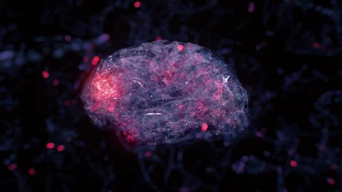 A  digital brain, centered on the screen, with an internal structure visible. Stock Footage 307169928