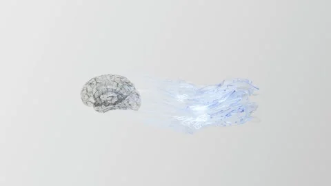 Digital Brain with Flowing Data Connections Stock Footage 289784040