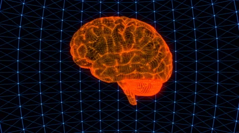 Digital brain illustrating concepts of computing Video stock 65199823