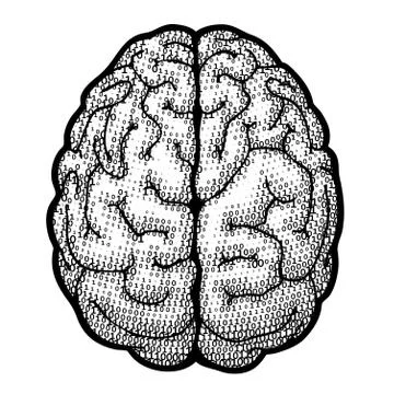 Digital brain Stock Illustration