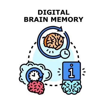Digital brain memory processing information concept Stock Illustration